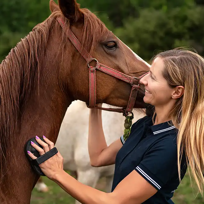 private label equine products