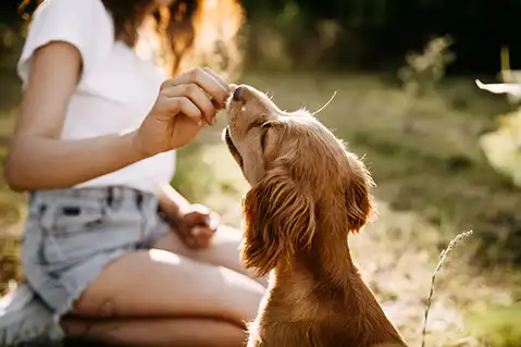 private label pet treats