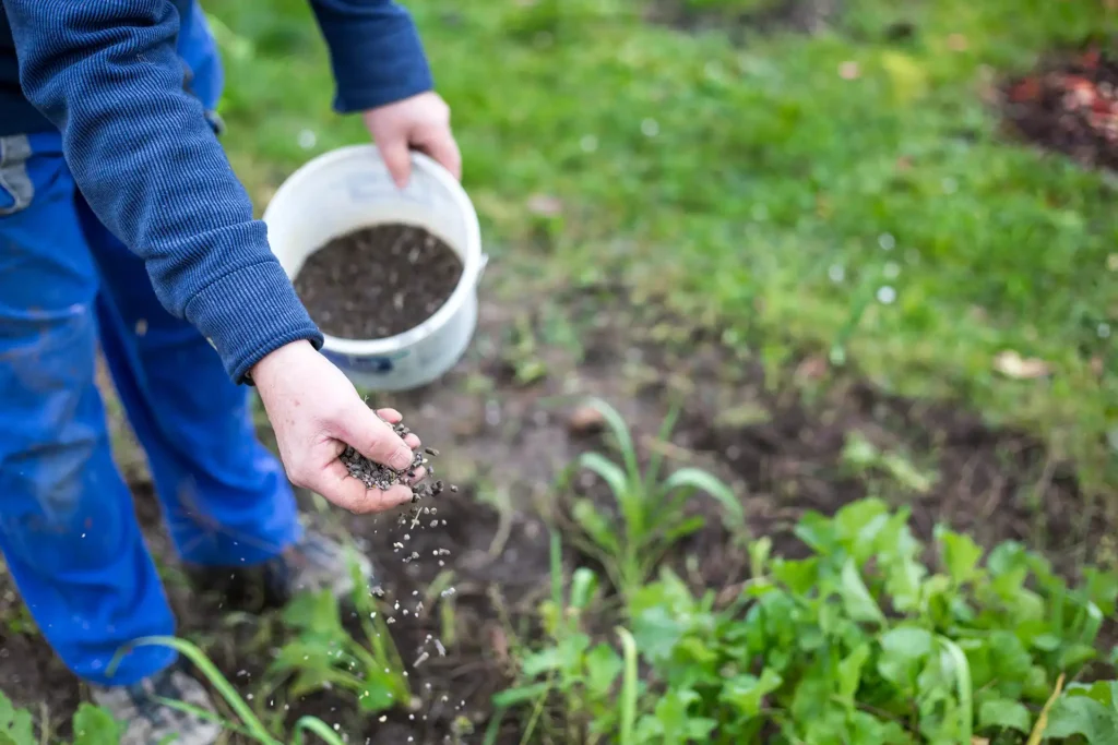 soil conditioning bacteria