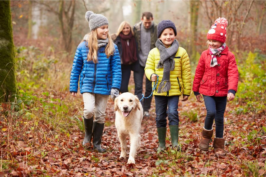 kids walking dog on trail in woods using hip and joint supplements to assist