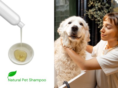 lady washing dog with natural pet shampoo to  use along with skin and coat supplement